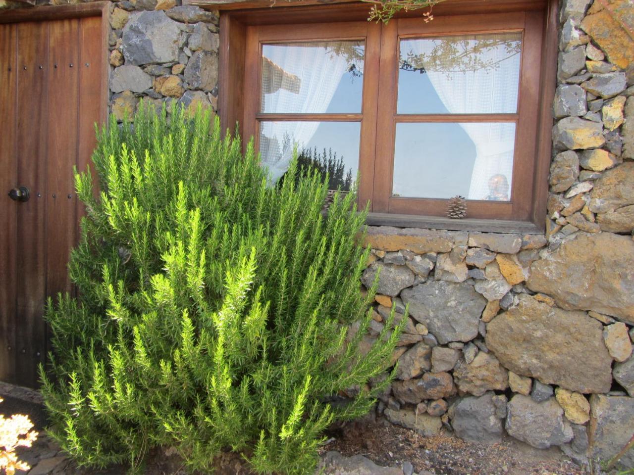 Casa Rural La Jarita El Pinar  Eksteriør bilde